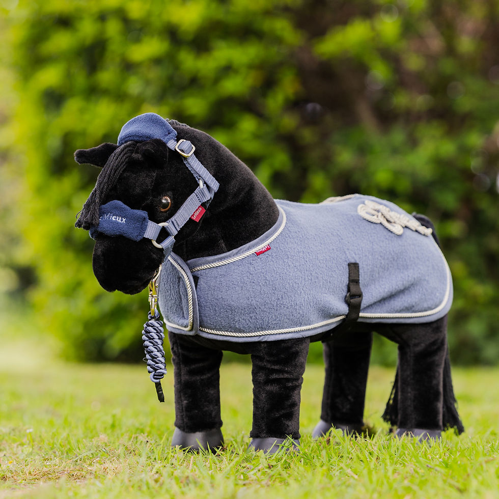 Thumbnail: Couverture Mini Pony Jay Blue - LeMieux