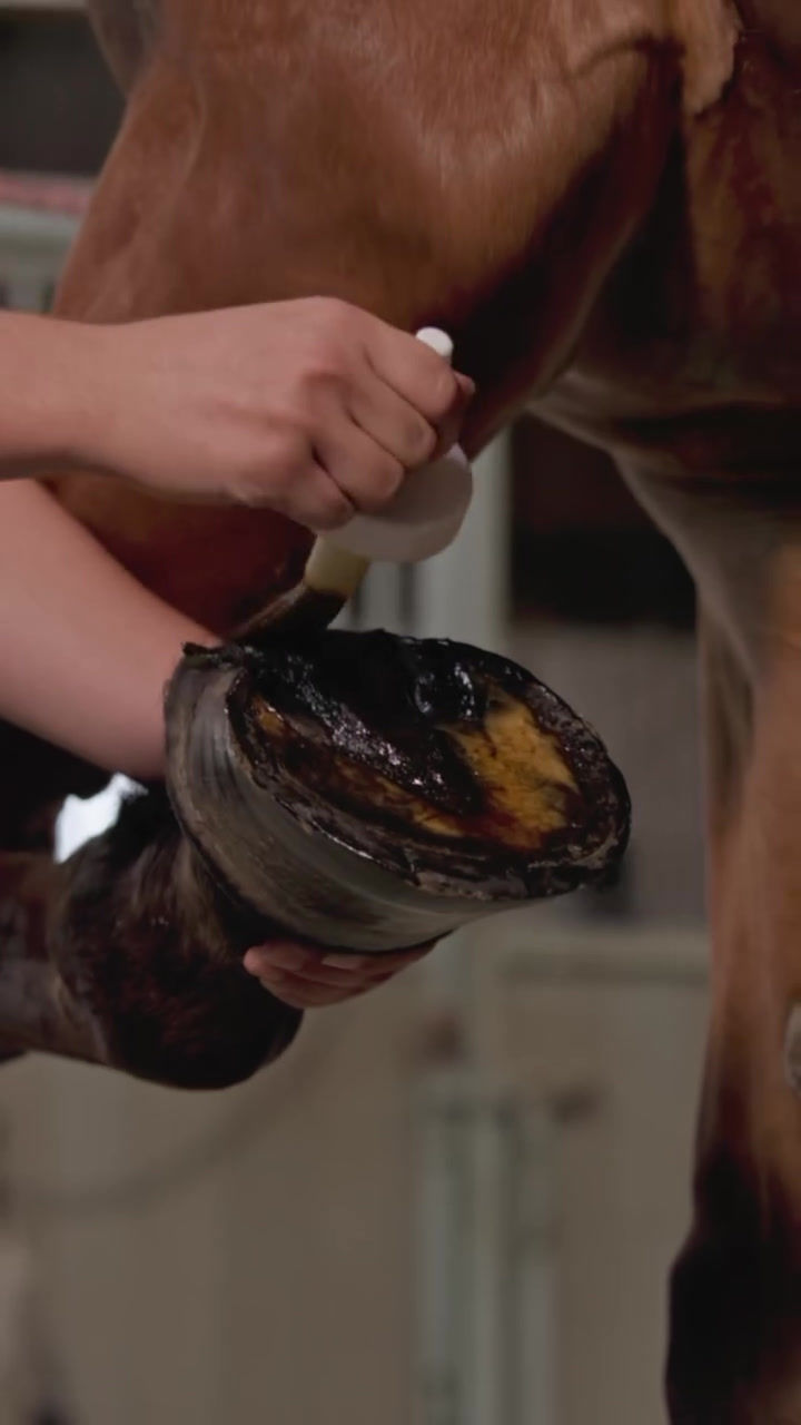 Thumbnail: Huile sabots abîmés - Cura Naturale