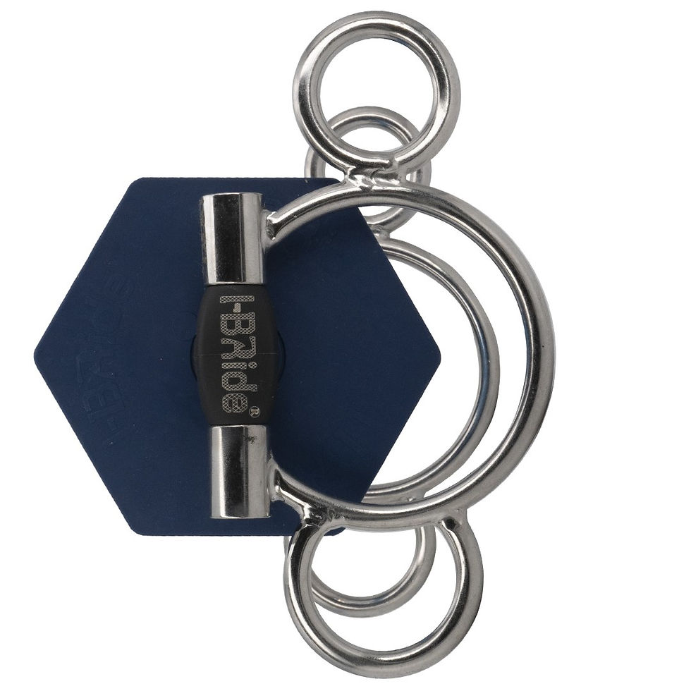 Miniature : Boucles Pegase - I-Bride