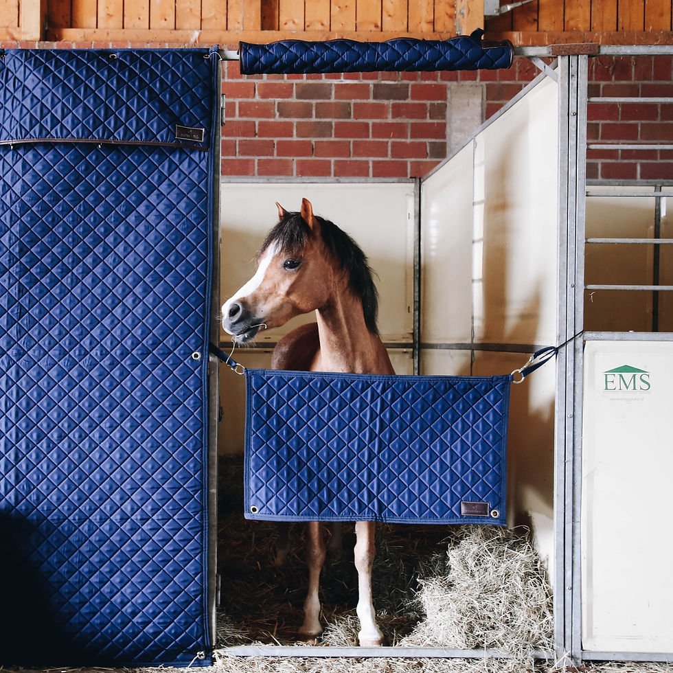 Miniature : Porte de Box Bleu - Kentucky Horsewear