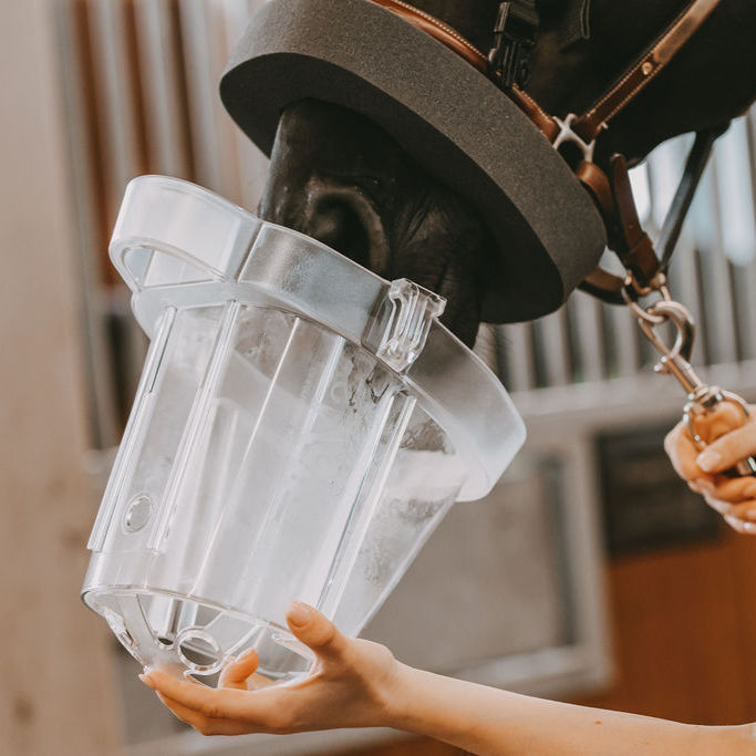 Thumbnail: Masque SaHoMa-II - Nebu-Tec