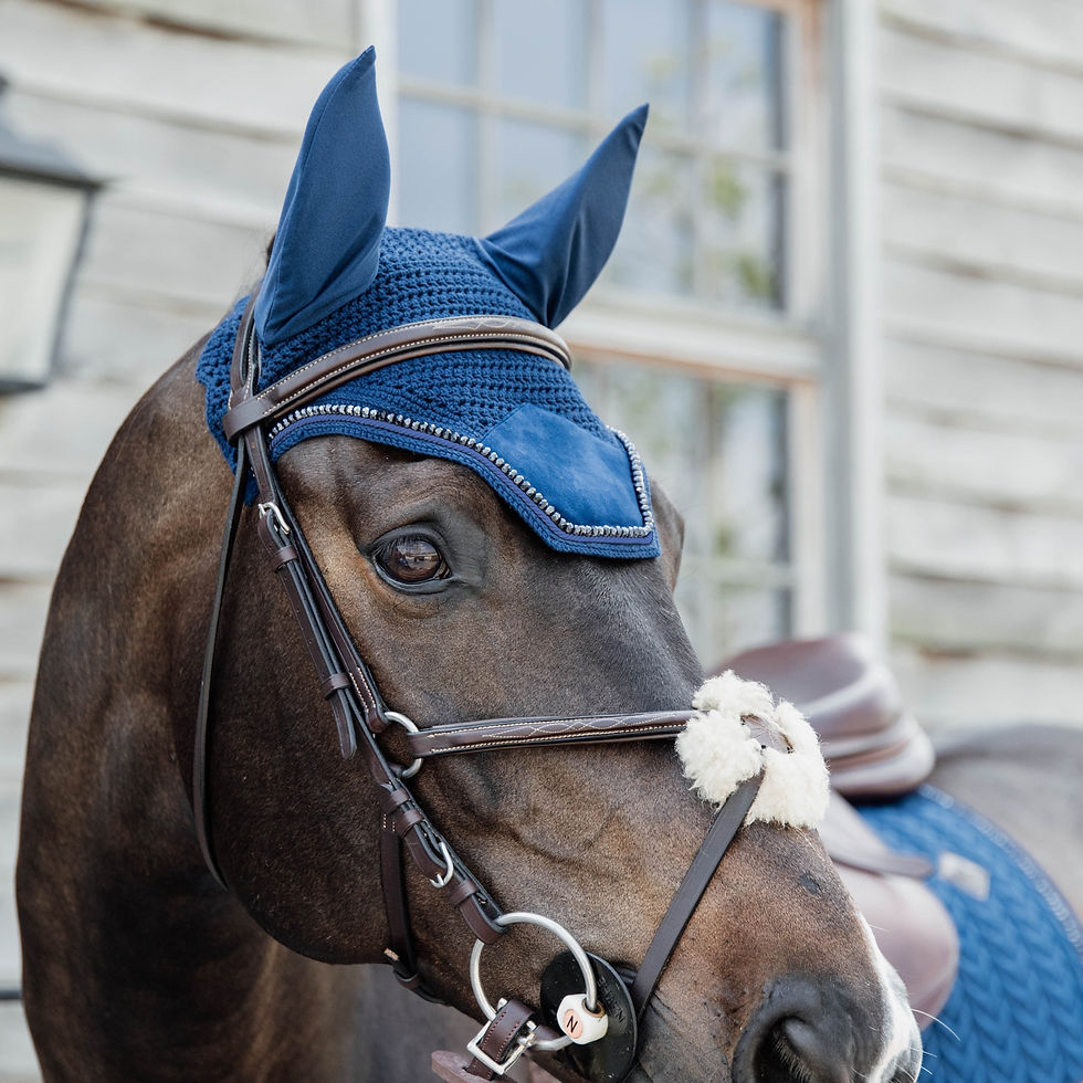 Thumbnail: Bonnet Wellington Velvet Pearls Bleu Marine - Kentucky Horsewear