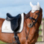 Tapis de Selle Dressage Elite Edge Off White - PS of Sweden