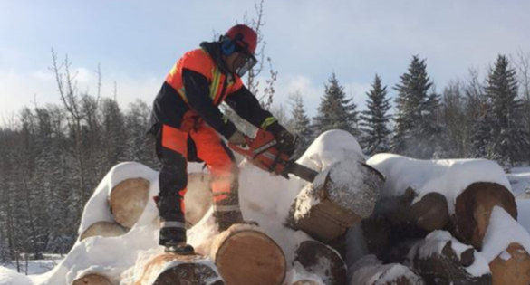 Wood for Warmth, Community Success