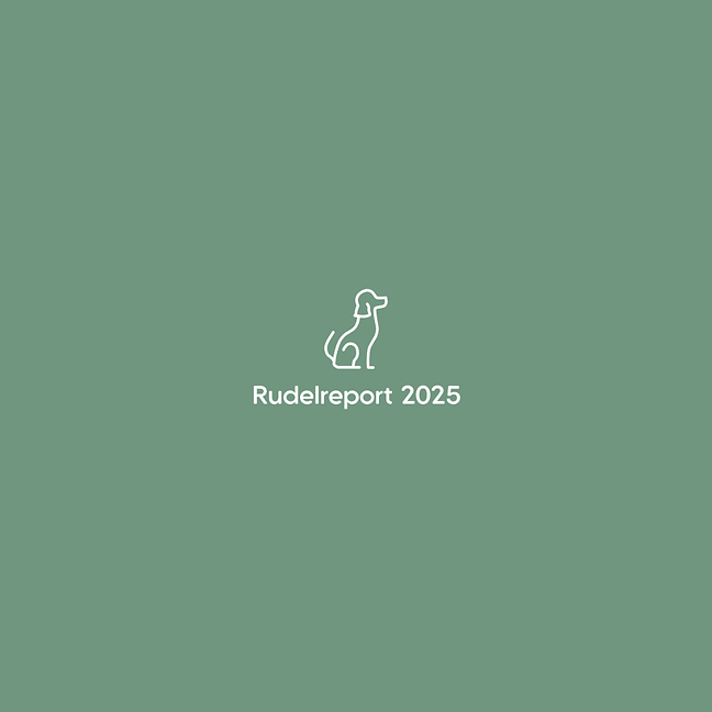Rudelreport für Website.png