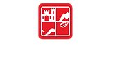 vf logo2.png