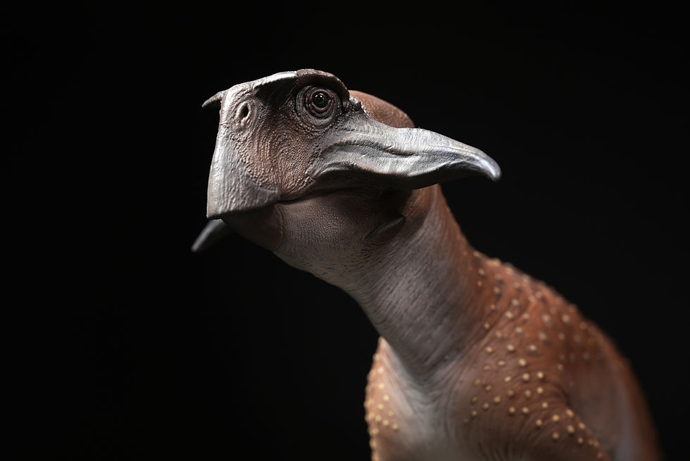 Thumbnail: Psittacosaurus sibiricus - De CLAY Studio
