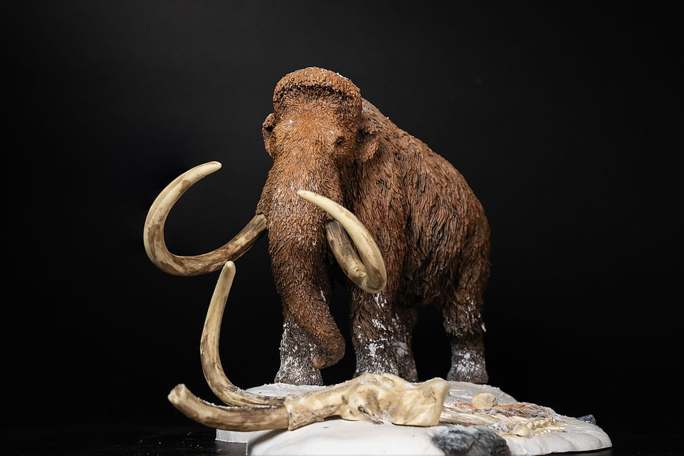 Thumbnail: Mammuthus primigenius - De CLAY Studio