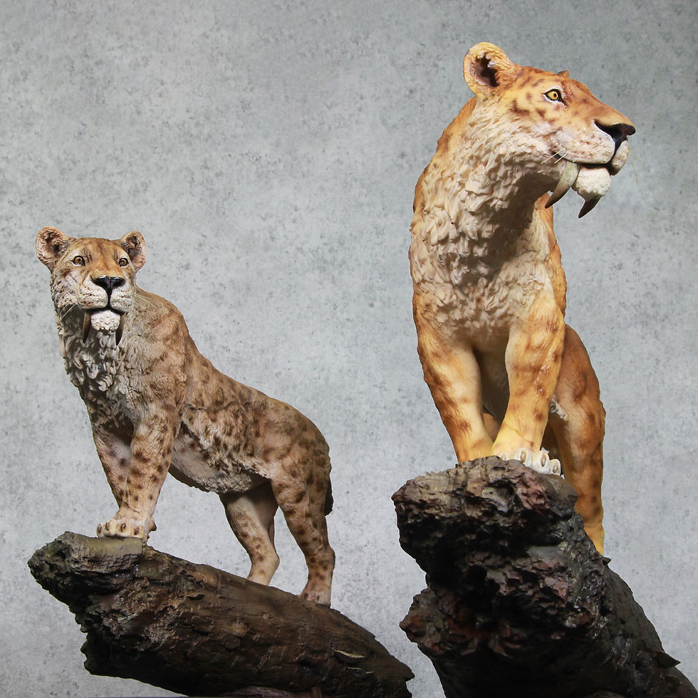 Thumbnail: Scale 1/10 Smilodon populator - De CLAY Studio