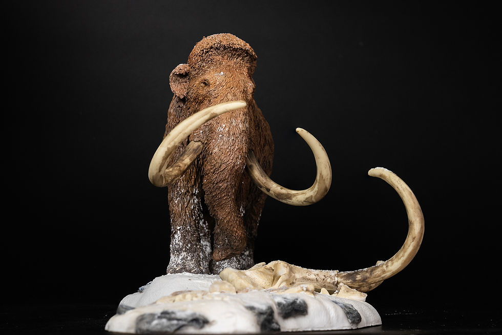 Thumbnail: Mammuthus primigenius - De CLAY Studio