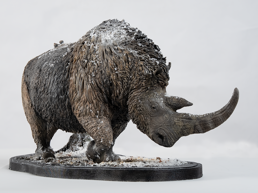 Thumbnail: Coelodonta antiquitatis - Against the Wind  - De CLAY Studio