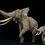 Thumbnail: African Elephant battling bulls - De CLAY Studio