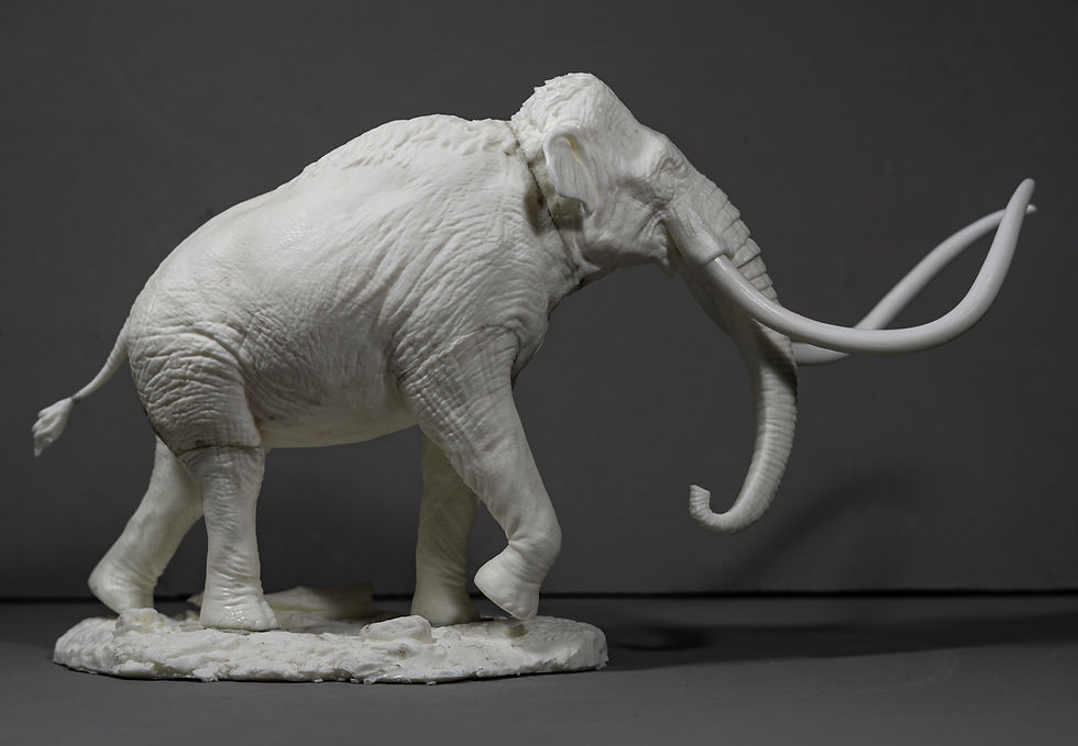 Thumbnail: Scale 1/20 Mammuthus columbi custom base with birds - De CLAY Studio
