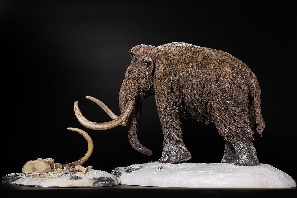 Thumbnail: Mammuthus primigenius - De CLAY Studio