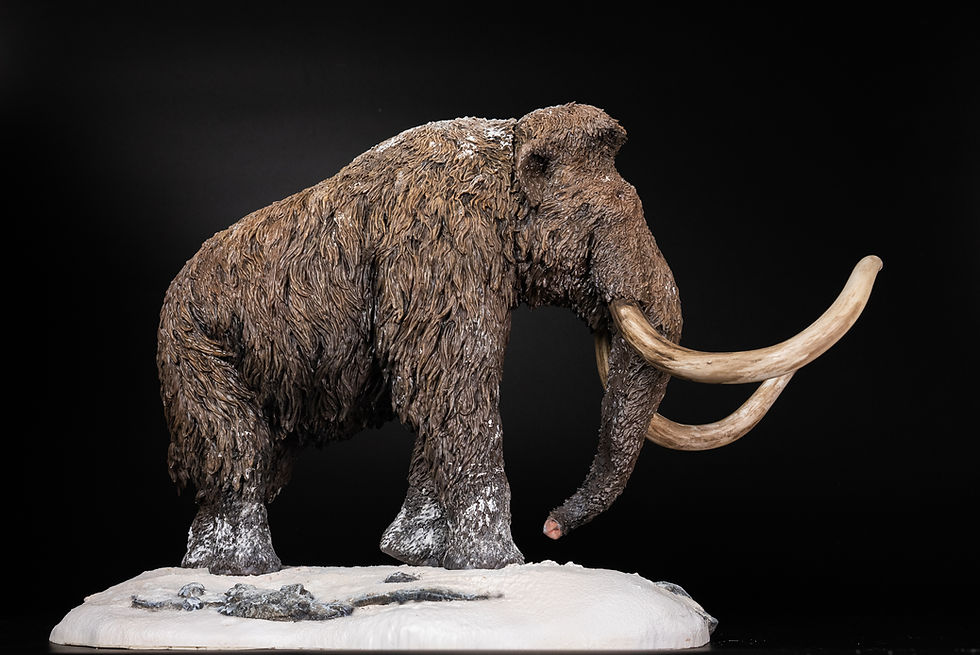 Thumbnail: Mammuthus primigenius - De CLAY Studio