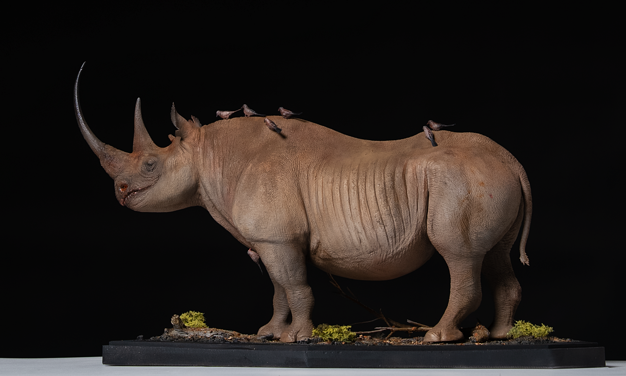 Black rhinoceros - Karanja - DeCLAY Studio
