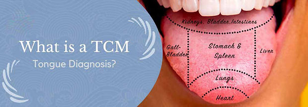 OHCO-Oriental-Herb-Company-TCM-Tongue-Diagnosis-article-header-1.jpg
