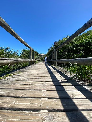 WhatsApp Image 2025-07-10 at 11.15.55 AM (3).jpeg