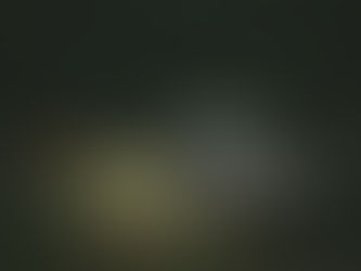 What Should I Do at the Scene of a Car Crash?