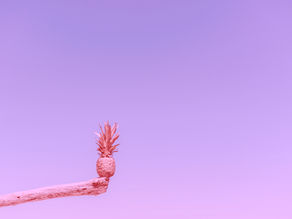 how to have a balanced life as a woman