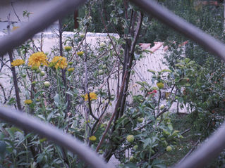 The Censorship Pattern – How Belief Systems Limit Us