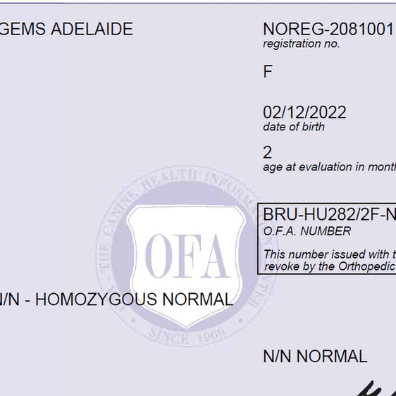 HUU Clear Adelaide .png