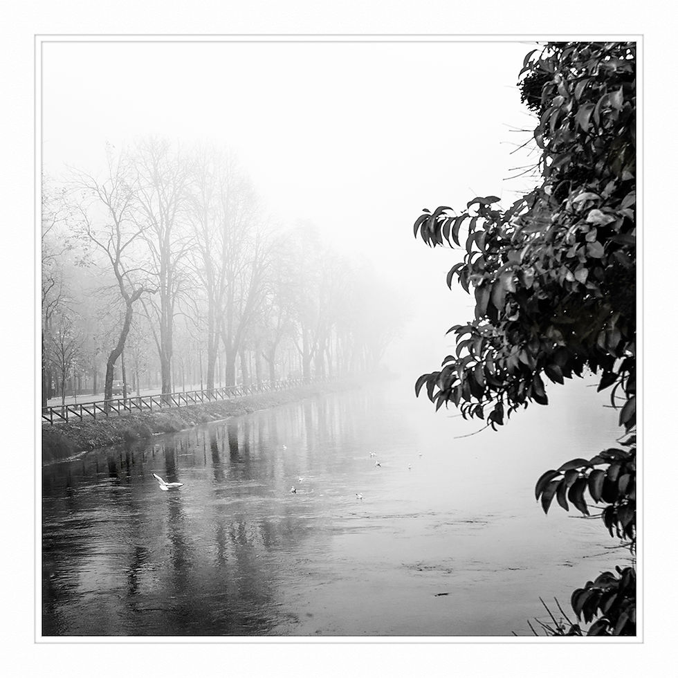 _MG_6277 River mist Mounted