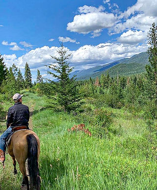 horseback rides 2.jpg