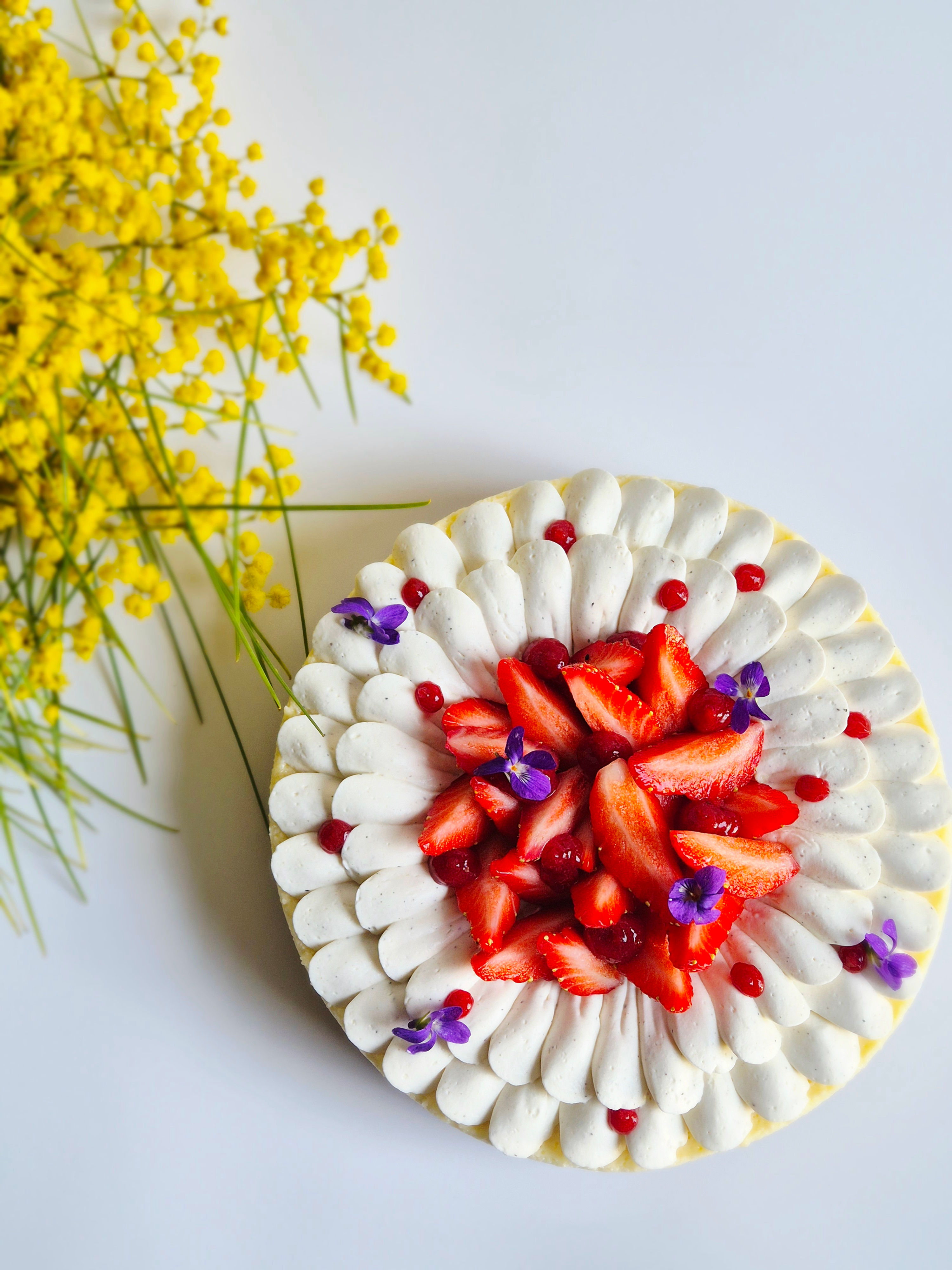 Cheesecake aux fruits