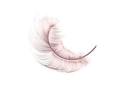 Plume