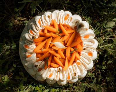 Pavlova abricot