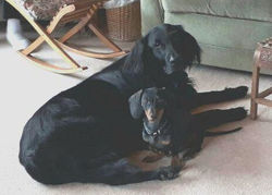 32158551_2057748404494841_3785854405446729728_n