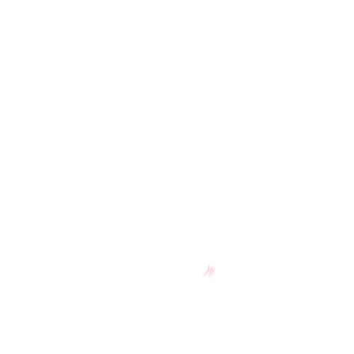 Animação do logotipo da Tanamo