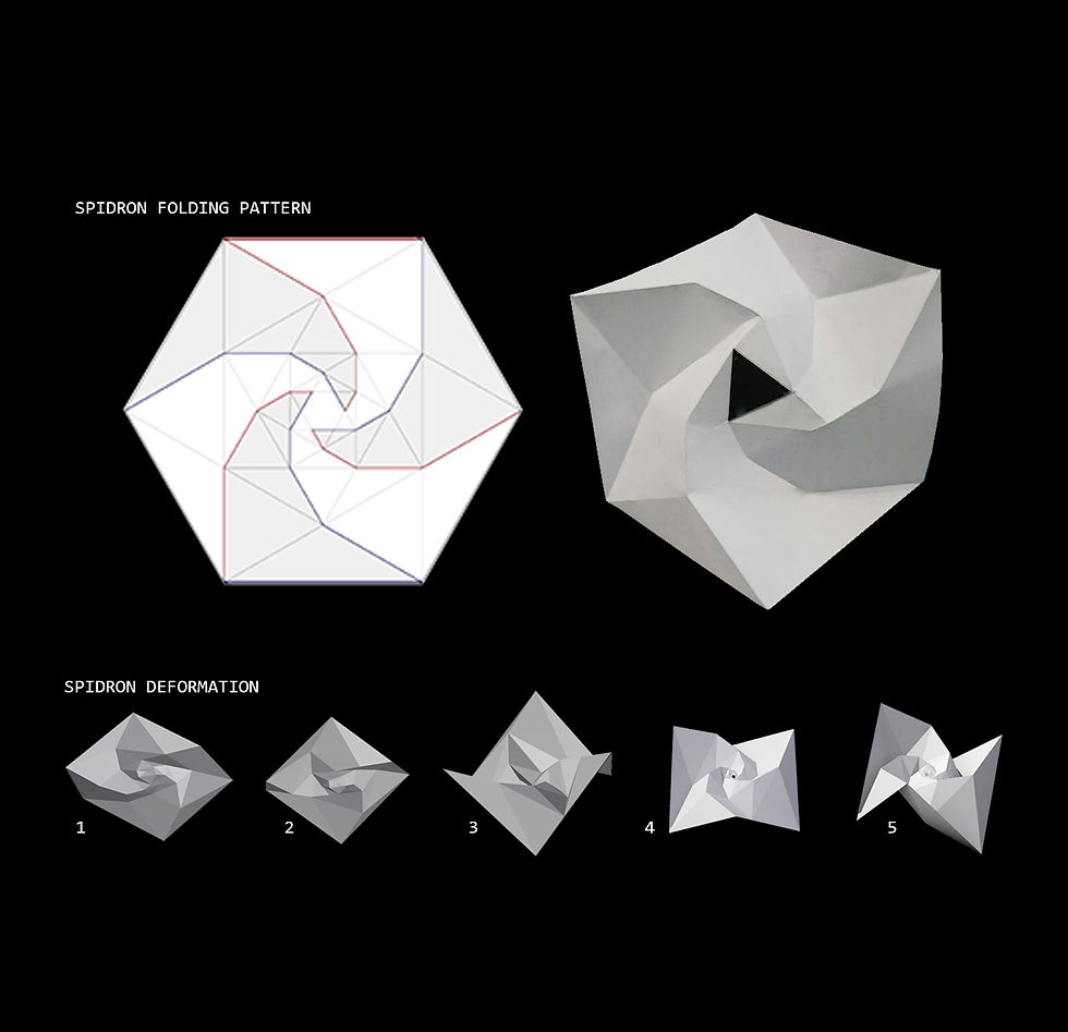D2. The Folding and Deformation