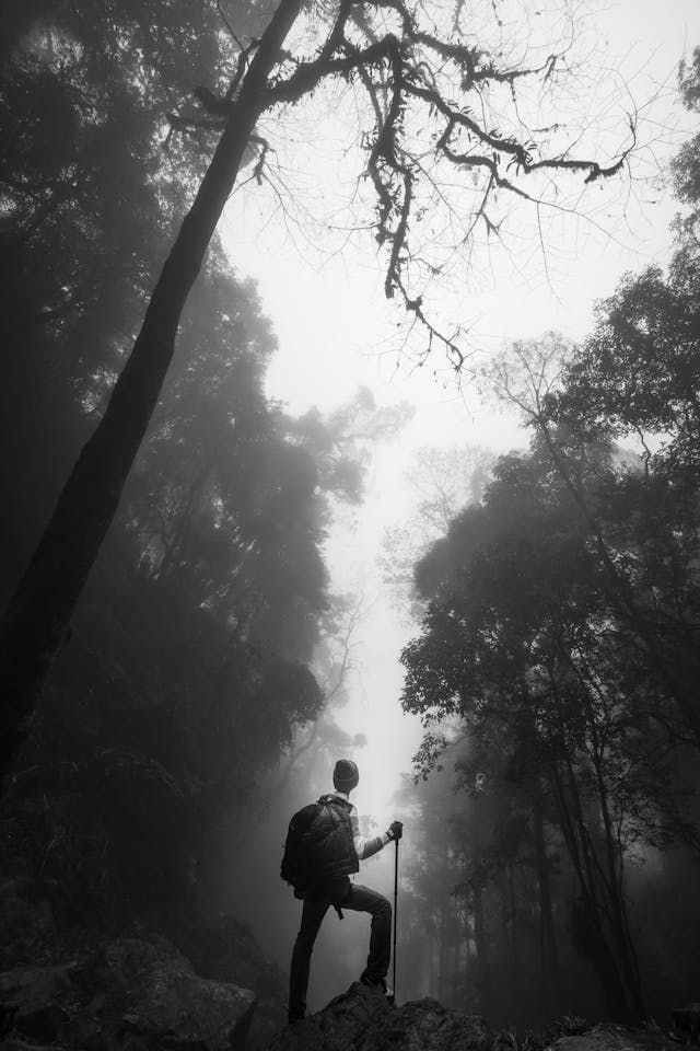 Planetas em domicílio: O que significa quando um planeta está "em casa"