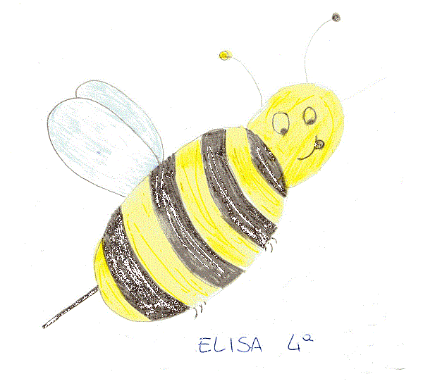 _Elisa IV.gif
