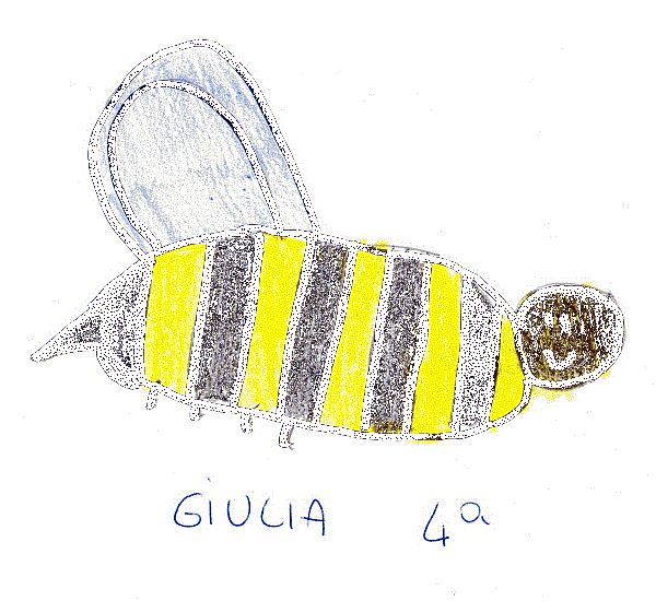 _Giulia IV.gif