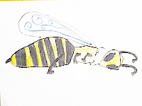 20150204_082305-1.gif
