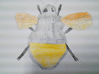 20141121_153556.gif