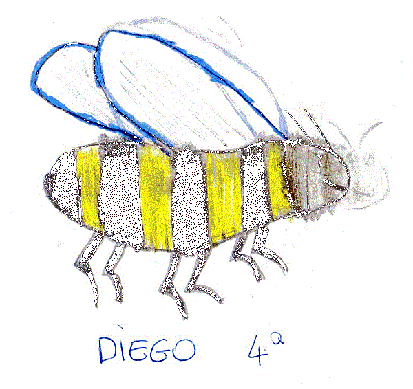 _Diego IV.gif