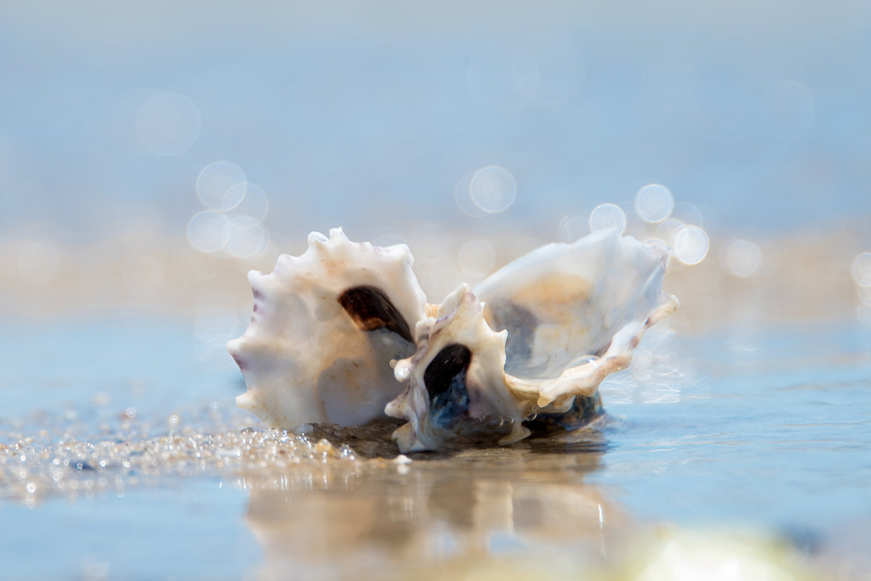 AdobeStock_123000524.jpeg