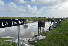 marais salant de la taillée en vendée