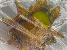 Antennen immer auf Empfang (Antennas always on reception)