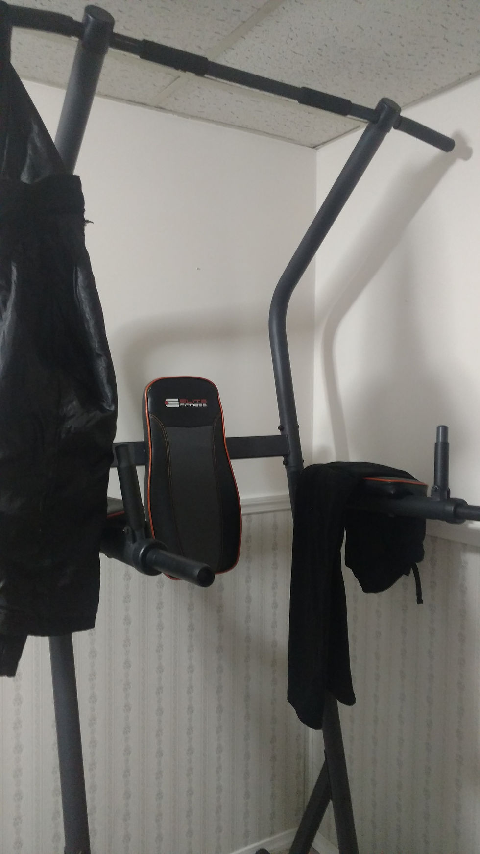A Horribly Neglected Piece of Work Out Equipment
