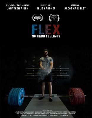 FLEX POSTER FETIVAL.png