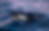 Screenshot 2024-08-15 at 10.13.27.png