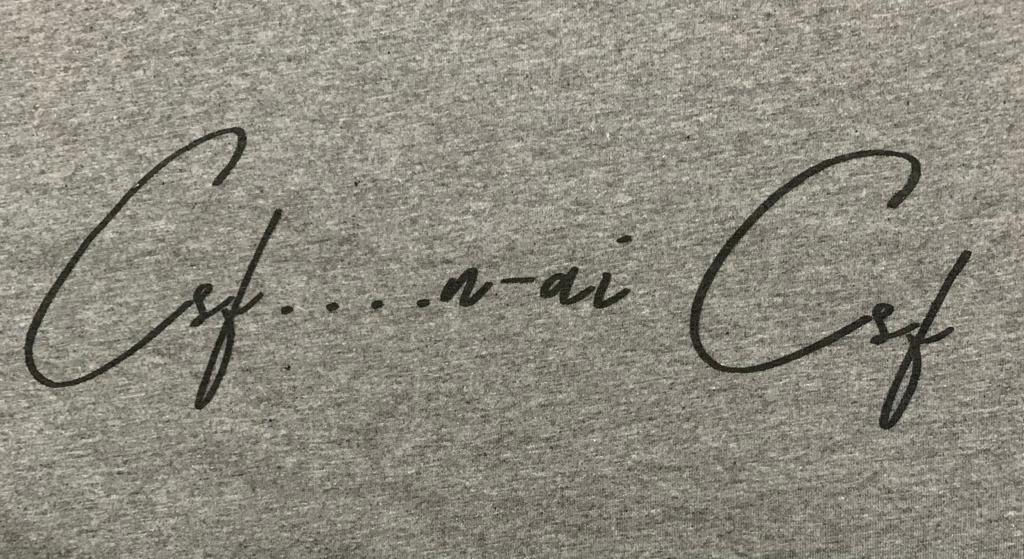 Csf n-ai csf
