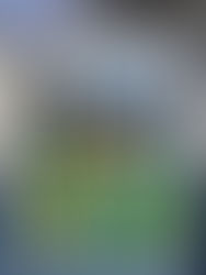 Presenting at the Australian Disaster Resilience Conference