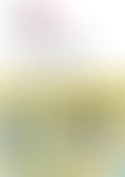 Using data in disaster resilience