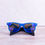 Miniature : Lunette de soleil